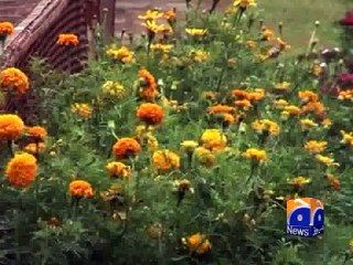 Lahore: Weather becomes pleasant after rain -17 March 2016