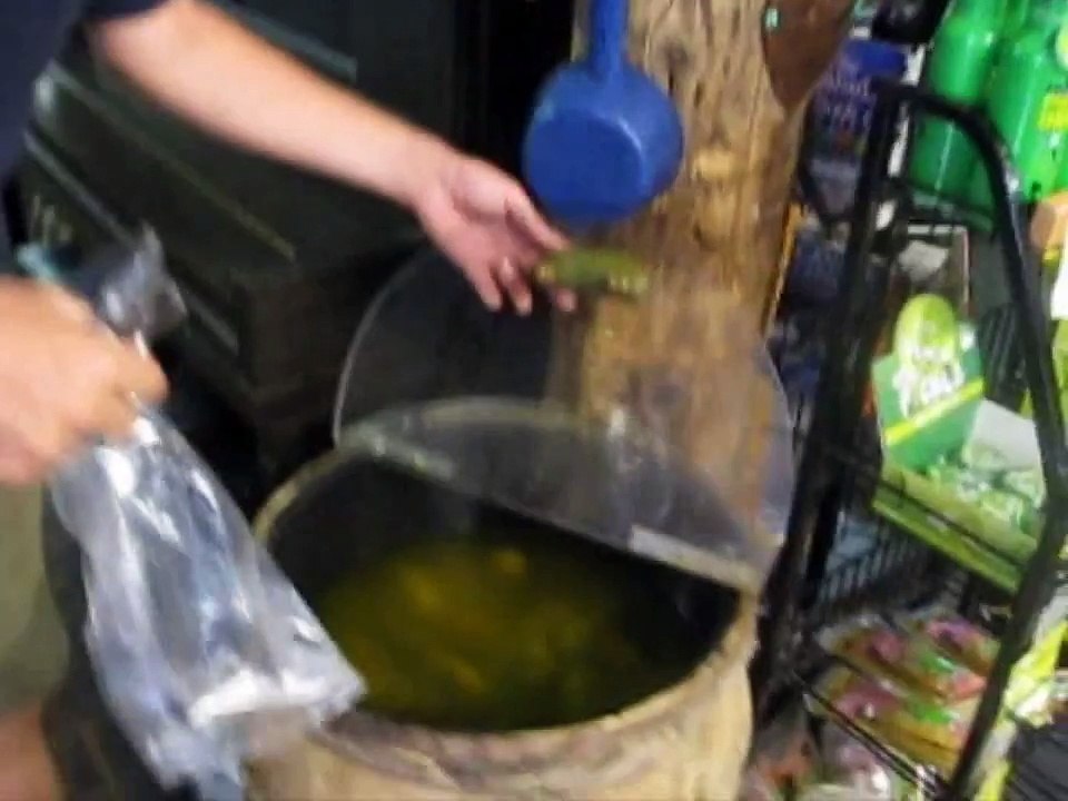 Getting Pickled in Wawa, Canada