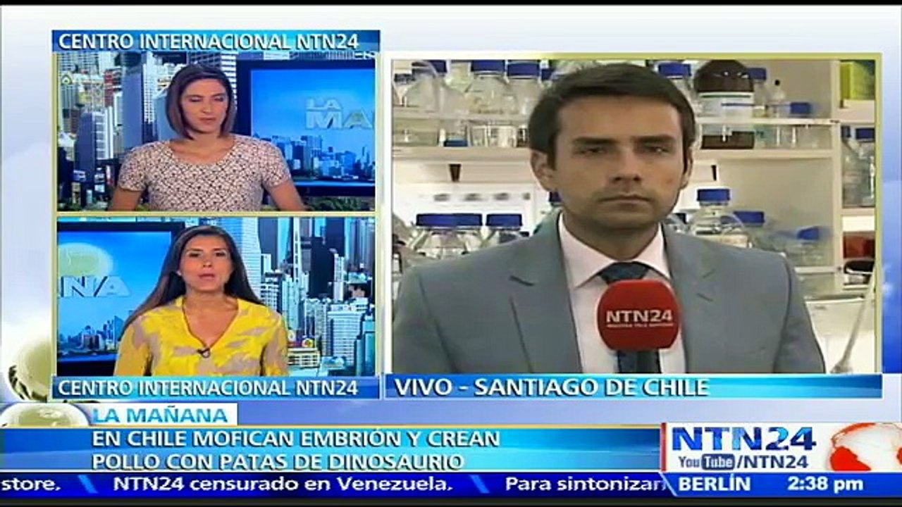 Increíble experimento: Científicos modifican embrión y crean pollo con patas de dinosaurios