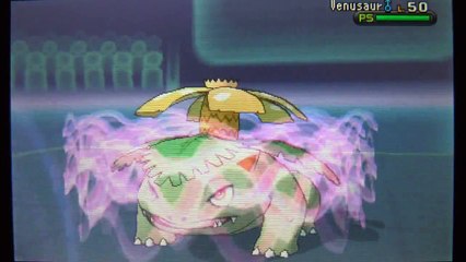 Pokemon X/Y - Lotta Wi-fi #15: Cocco batte Arceus