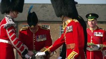 Prince William attends a St Patrick's Day parade in Hounslow