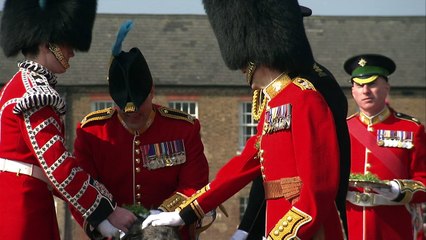 Prince William attends a St Patrick's Day parade in Hounslow