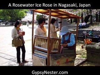 A Rose Water Ice Bloom In Nagasaki, Japan