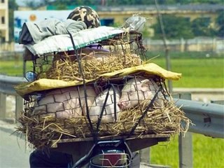 Приколы на дорогах (nev1)