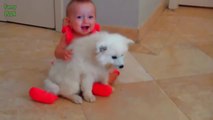 Puppies and Babies Playing Together Compilation 2016