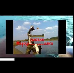 Приколы на рыбалке (подборка) Рыболовное обозрение