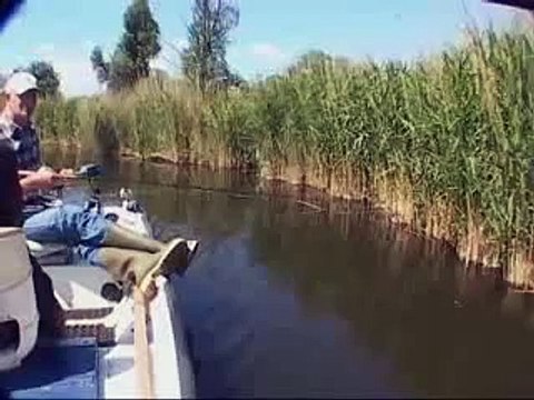 Прикол на рыбалке Такого никто не ожидал!