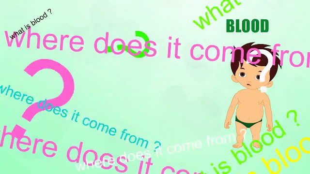 Blood - Human Body Parts - Pre School Know Your Body - Animated Videos For Kids