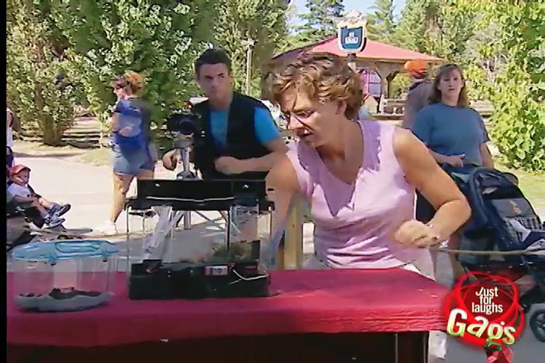 Escaped Jumping Spiders Prank