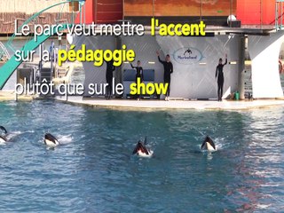 Six mois après les inondations, les premières images du parc Marineland avant sa réouverture