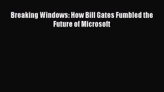 Read Breaking Windows: How Bill Gates Fumbled the Future of Microsoft Ebook Free