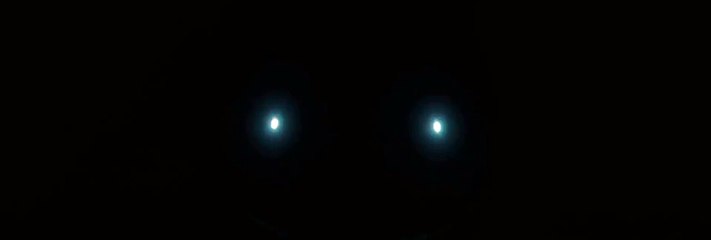 Nike lance la première chaussure... qui se lace toute seule