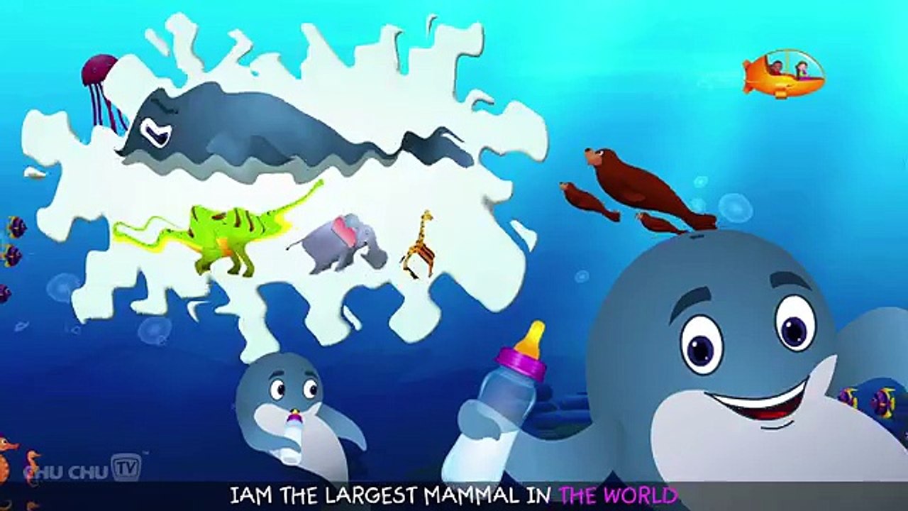 Blue Whale Nursery Rhyme  ChuChuTV Sea World  Animal Songs & Nursery Rhymes For Children