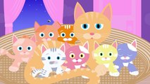Seven Kittens  -- A lullaby for babies, toddlers, children, and grown-ups
