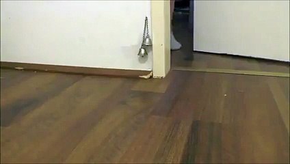 Kapıyı Açsınlar Diye Zili Çalan Fare Yok Böyle Bir Şey