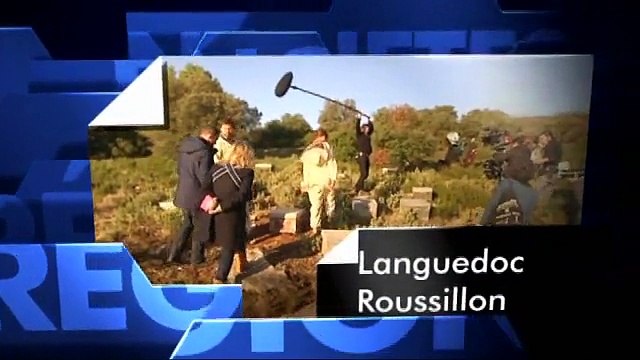 AGDE - 2016 - LE COEUR DE VILLE AGATHOIS EVOQUE SUR FRANCE 3