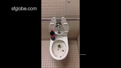 Kola İle Tuvalet Nasıl Temizlenir Yok Böyle Bir Şey