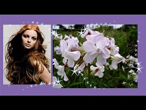 Старинные рецепты красоты для волос