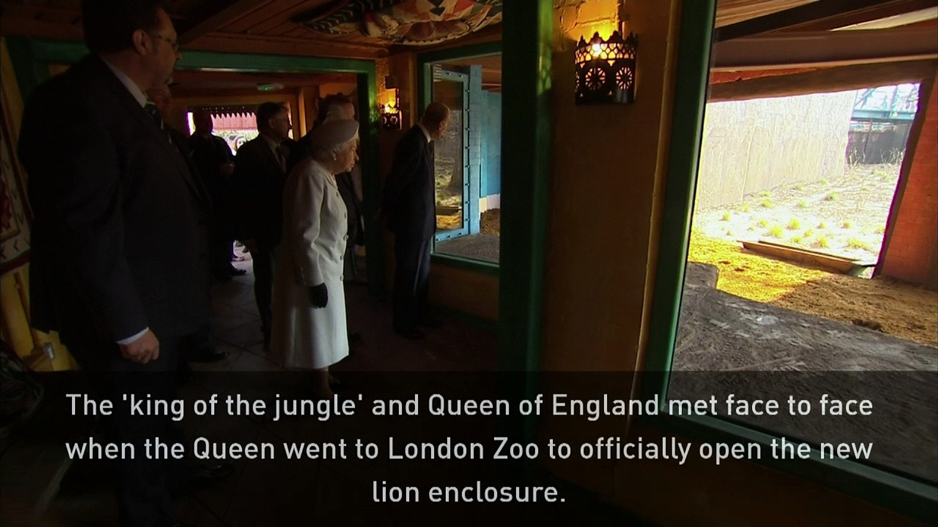 The King Of The Jungle Meets The Queen Of England Video