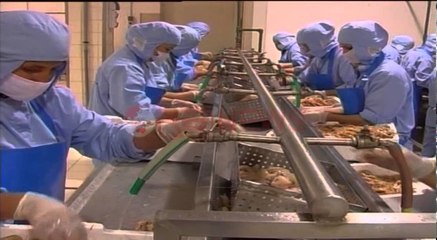 Ligji për falimentin, Shefja e misionit të FMN takohet me Ministrin Manjani- Ora News