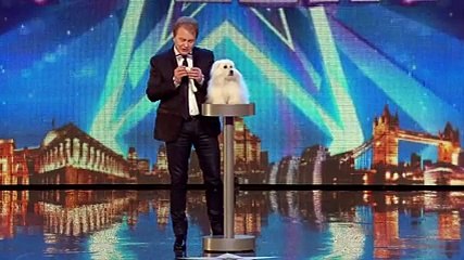 Konuşan Köpek Herkesi Şaşkına Çevirdi.. Yok Böyle Bir Şey