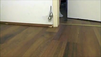 Kapıyı Açsınlar Diye Zili Çalan Fare Yok Böyle Bir Şey