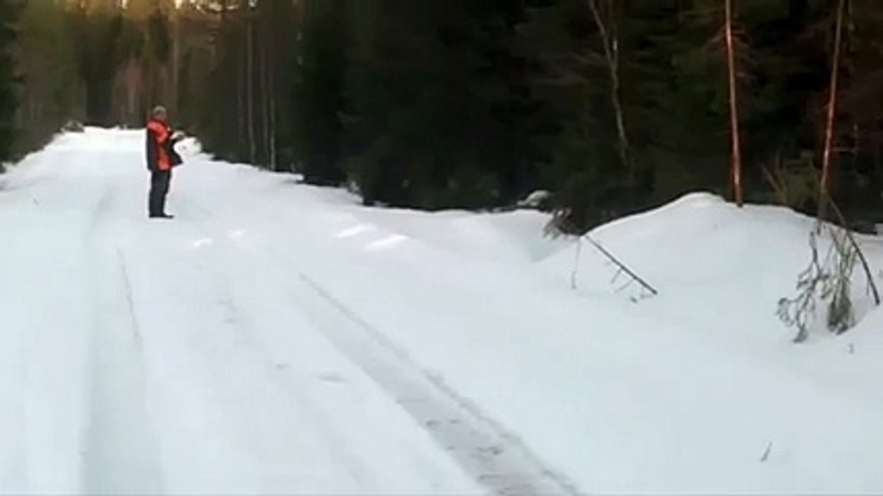 Karşınıza Çıkan Bir Ayıdan Nasıl Kurtulursunuz.. Yok Böyle B