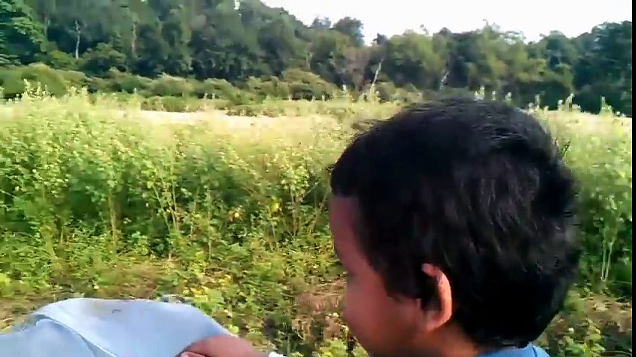 Jim Corbett National Park   Most Visited Tourist Place in India - YouTube