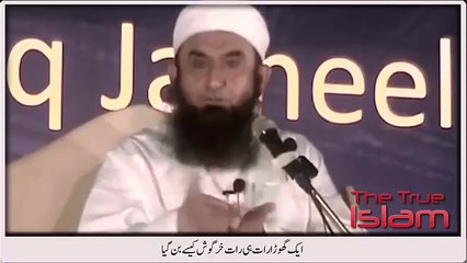 How A Hourse became rabbit overnight--Comedy by Maulana Tariq Jameel