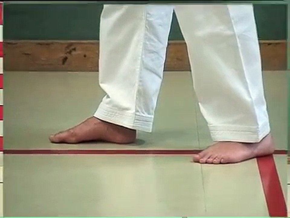 Taekwondo Poomse Grundtechniken