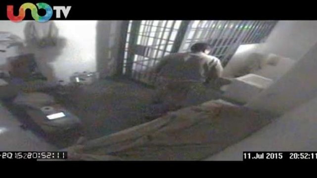 Ana Paula Cinta. Recuento del 2015? muchos muchos pendientes