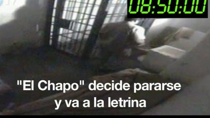 Ana Paula Cinta. Insostenible que no hubiera ruidos en la fuga de "El Chapo"