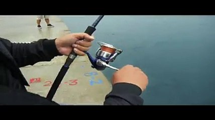 O kadar Uğraştıktan sonra Çektiği Balığa bak