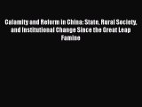 Read Calamity and Reform in China: State Rural Society and Institutional Change Since the Great