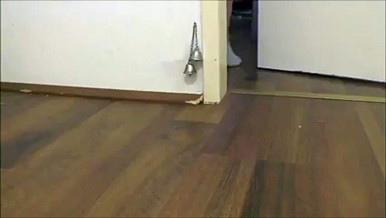 Kapıyı Açsınlar Diye Zili Çalan Fare Yok Böyle Bir Şey