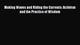 Read Making Waves and Riding the Currents: Activism and the Practice of Wisdom PDF Online