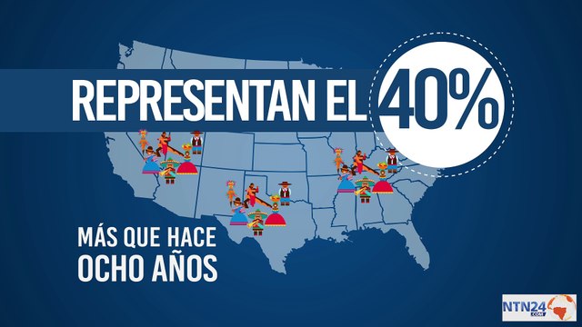 RECOMENDADO NTN24 | ¿Cuál es la importancia del voto latino en las presidenciales de Estados Unidos?