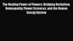 [PDF] The Healing Power of Flowers: Bridging Herbalism Homeopathy Flower Essences and the Human