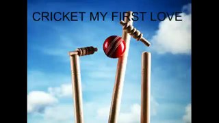 DILSHAN SUPER INNINGS VS AFGANISTAN CRICKET WORLD CUP 2016