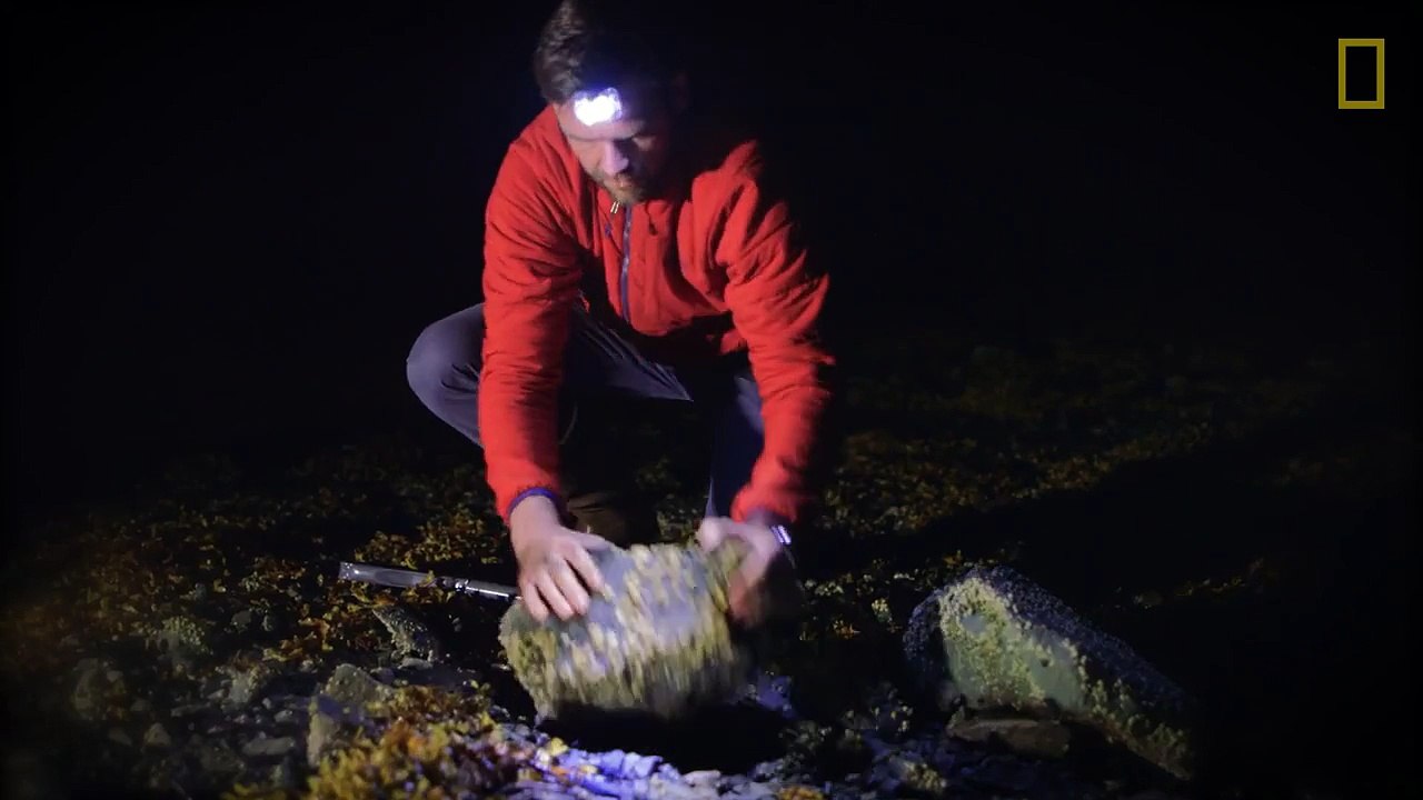 Looking for Killer Whales 26 Years After the Exxon Valdez Oil Spill (Part 1)