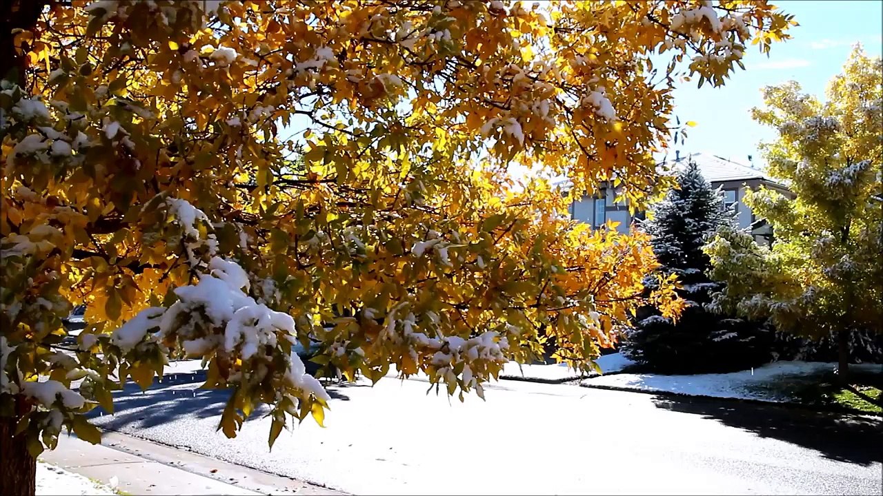 Golden Year of Exploration