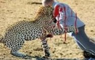 When animals attack humans -  Most Animal Attacks On Human Compilation  - Crocodile attack human