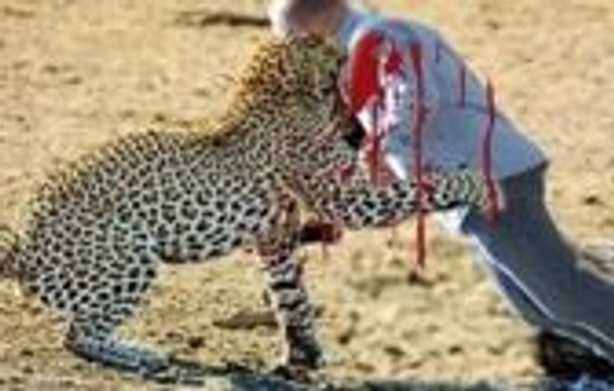 When animals attack humans - Most Animal Attacks On Human Compilation - Crocodile attack human