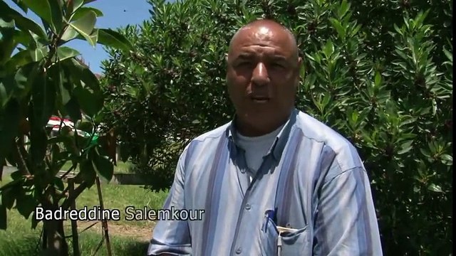 Dressage du berger allemand - la longe - YouTube