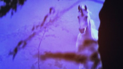 Evoluzionismo di maria valtorta...