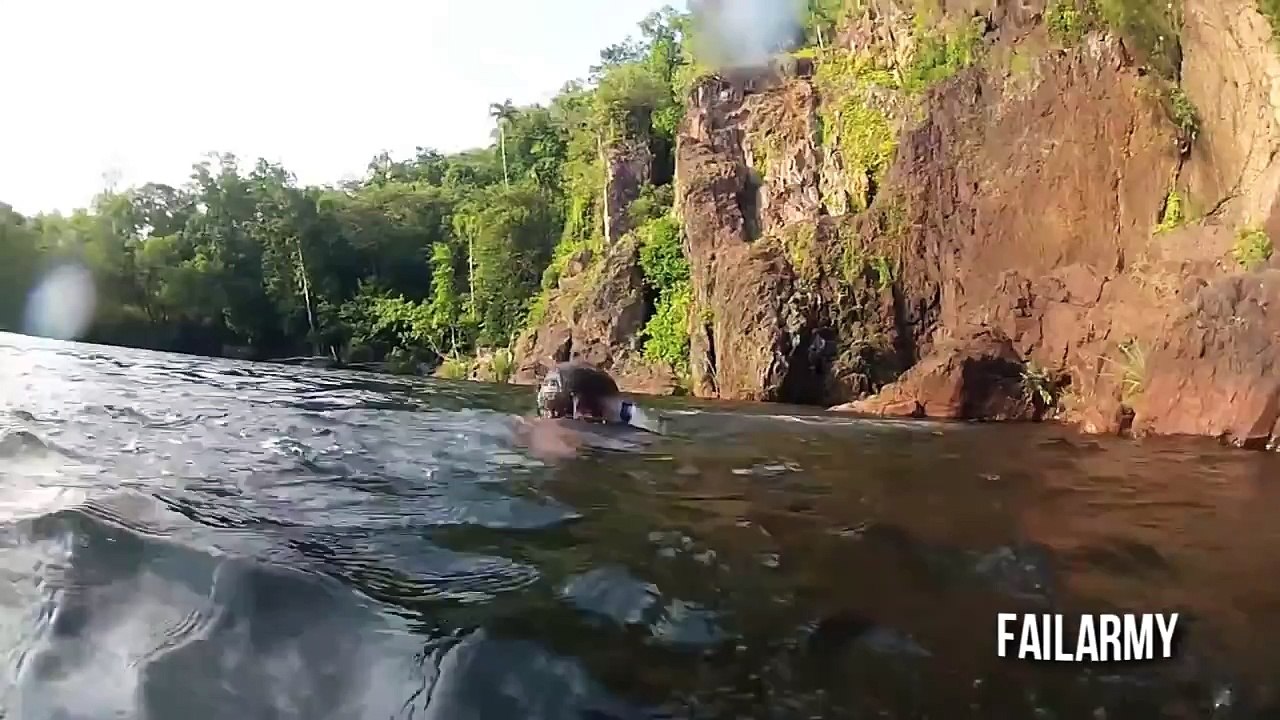 When Animals Attack -Lorsque les animaux Attaque