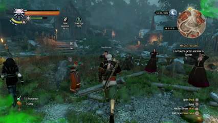 THE WITCHER 3 WALKTHROUGH PART 144 - NAMELESS [SEXY YENNEFER]