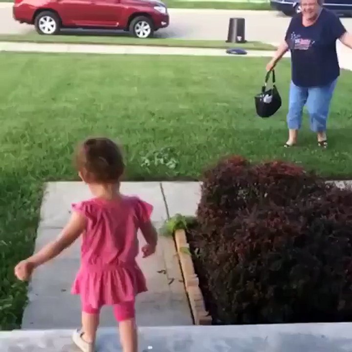 Complete savage