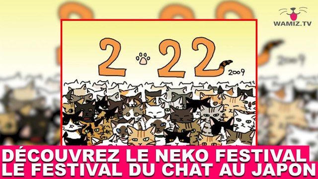Découvrez le Neko Festival ! Le festival du chat au Japon ! Tout de suite dans la minute chat #164