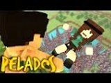 rezendeevil | Minecraft: PELADOS! - #114 O QUE VOCÊ FEZ REZENDE?!